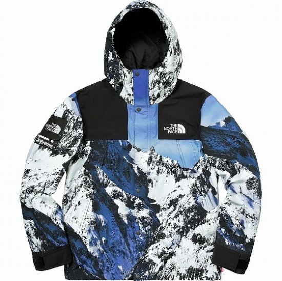 17AW Supreme The North Face Mountain Parka Jacket シュプリーム ...